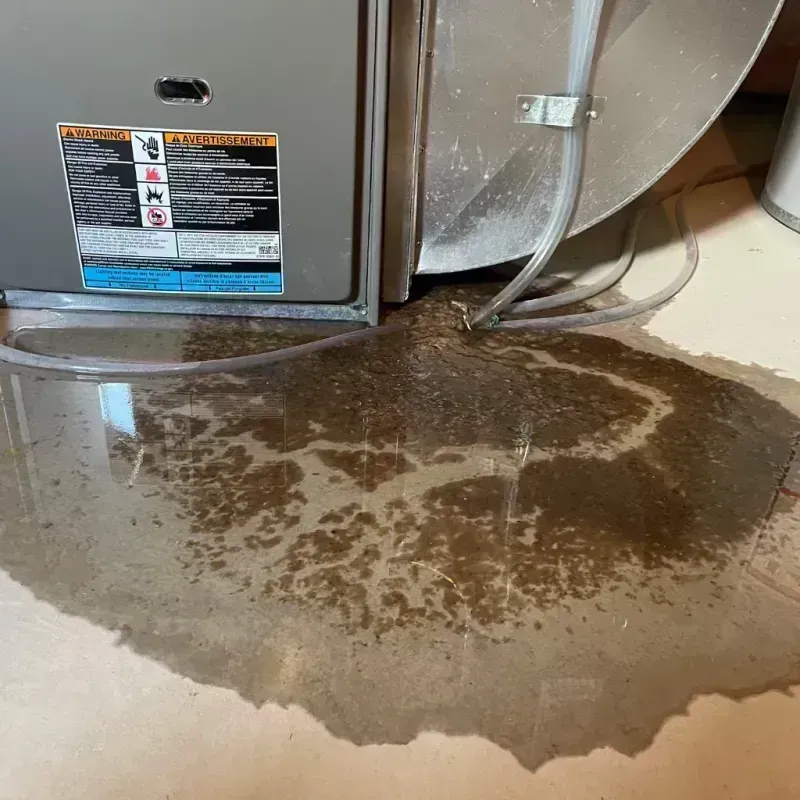 Appliance Leak Cleanup in Cicero, IL